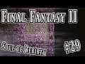 Final Fantasy II, Soul of Rebirth: 29 - The Dead Fight to Survive