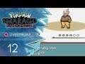 Pokemon Smaragd Randomizer [Livestream] - #12 - Walter bleibt bodenständig
