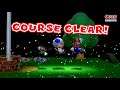 Super Mario 3D world Online Co Op Worldsmushroom,flower and most of Crown