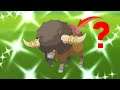 When Bouffalant Gets in the Way of INSANE Shiny!