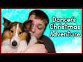 Dancer's Christmas Adventure || Dog Playing Christmas 2020  || MumblesVideos