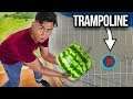 Dropping Watermelons vs Trampoline From 500cm ~  Bounce