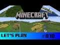 Let's Play Minecraft #070 Meine welt zeigen