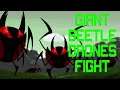 SAMURAI JACK: BATTLE THROUGH TIME (GIANT BEETLE DRONES FIGHT)