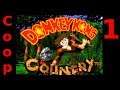 #1 Affen und so - Donkey Kong Country (Coop, Let's Play, Deutsch, German)