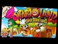 Auf der Pirateninsel - Wario Land – Super Mario Land 3