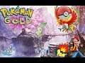 Let's Play Pokémon Goldene Edition ☠REAL BLIND♻️HEG-Projekt(HIGH END GAMING) Part 51 Flug-Fight