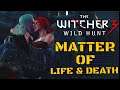 Witcher 3 A Matter Of Life And Death Romancing Triss