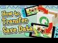 How to Transfer Save Data to Another Switch In Animal Crossing: New Horizons! (Guide)