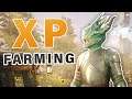 XP Farming Location for Leveling 40+ ► New World