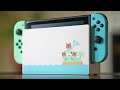 Animal Crossing Edition Nintendo Switch Review: The Most Beautiful Switch Yet! | Raymond Strazdas