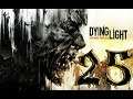 Let's play Dying Light en español | CAPITULO 25: "Asegurando nuevos refugios"