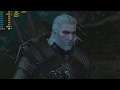 The Witcher III: Wild Hunt - 1080p with the AMD RX 460 and Intel I3 4160