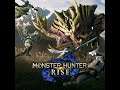 LETS HUNT! Monster Hunter Rise