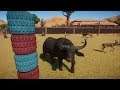 Planet Zoo (PC)(English) #37 6 Minutes of African Buffalo