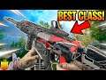 The Best Echohawk Dual Bore Class Setup to use in Black Ops 4 2020! - COD BO4