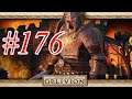The Elder Scrolls IV Oblivion ITA - 176 Forte Ash e Grotta rompicollo!!!