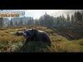 theHunter: Call of the Wild  #По следам медведя.