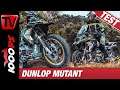 Dunlop Mutant - Der wandelbare Allround-Reifen im Test onroad und offroad