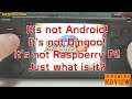 RK2020 Review - It's not Android, Dingoo or Raspberry Pi!