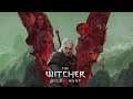 Yennifer- The Witcher 3: Wild Hunt part 6