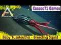 Baby Tusoteuthis -  Squid Breeding -ARK  Survival Evolved