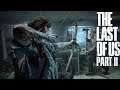 Hacker who knows The Last of Us Part 2 Leaker explains security exploit
