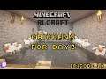 Let's Play: Minecraft - RLCraft: Chickens for Dayz - Episode 19