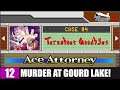 MURDER AT GOURD LAKE! - Phoenix Wright: Ace Attorney Trilogy - #12 (4: GOODBYES) [AA] [XB1]