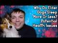 Why Do Elder Dogs Sleep More Or Less? Potential Health Issues |Pupdate #49| MumblesVideos Dog Video