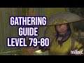 FFXIV 5.3 1512 Gathering Guide Level 79 to 80