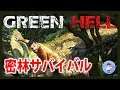 初見さん歓迎【Live #1】アマゾン熱帯雨林サバイバル!Green Hell