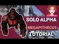 SOLO Alpha Megapithecus Tutorial - Keine Tricks, kein Clickbait!