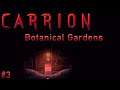 Botanical Gardens, Carrion Let's Play Ep3 - Commentary