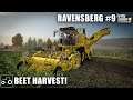 Harvesting Sugar Beet & Corn, Ravensberg #9 Farming Simulator 19 Timelapse