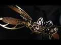 Mechanical Dragonfly Automata Kit Build and Review!