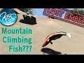 I Climbed a Mountain as a Fish! - Lost Ember - Funny