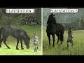 Shadow Of The Colossus PS2 VS PS5 Graphics Comparison Gameplay / PlayStation5 VS PlayStation 2/1440P