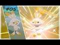 Shiny Galar n°5 (Flambino - Masuda) #PokémonShinyBox