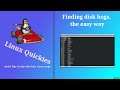 Linux Quickies - Finding the disk hogs on your system