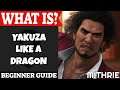 Yakuza: Like A Dragon Introduction | What Is Series