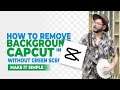 How to Remove Video Background in CapCut with and without Green Screen