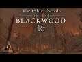 Let's Play ESO - Blackwood [Blind] [Deutsch] Part 16 - Die dritte Ambition