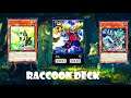 (YGOPRO)Raccoon deck,Catnip Li Hua,Mad Hacker,Battle of Chaos,Number 64: Ronin Raccoon Sandayu
