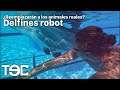 Delfines robot ¿Reemplazarán a los animales reales?