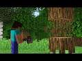 Do This Every Time You Chop Trees