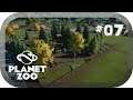 Planet Zoo ➤ #07 Grizzlybärgehege *PC/HD/60FPS/DE*