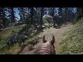 Red Dead Redemption 2 ASMR | A Relaxing Horse Ride through Tall Tree's Region | No Talking