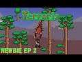 Terraria 1.4 – I Think I Chose A Hard World Seed? - Newbie Player Let’s Play – Ep 2