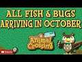 ACNH ALL NEW FISH AND BUGS IN OCTOBER: Animal Crossing New Horizons October Fish & Bugs ACNH October